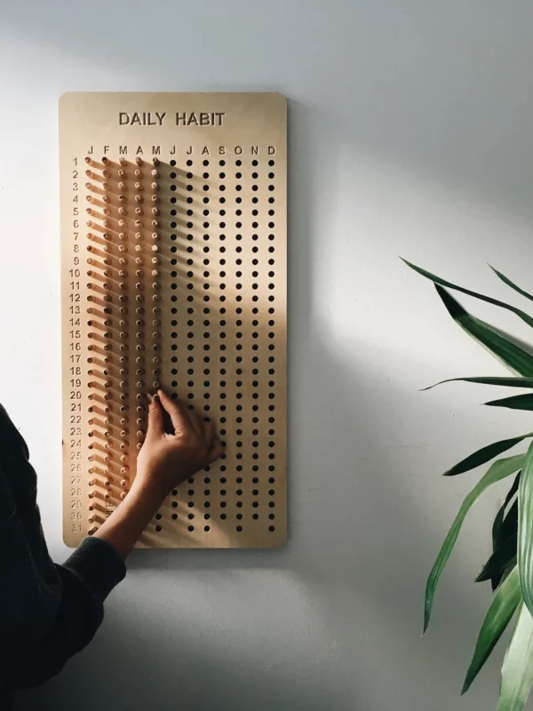 DAILY HABIT BOARD BUTE DESIGN Daily Habit Board - Natural Baltic Birch Plywood